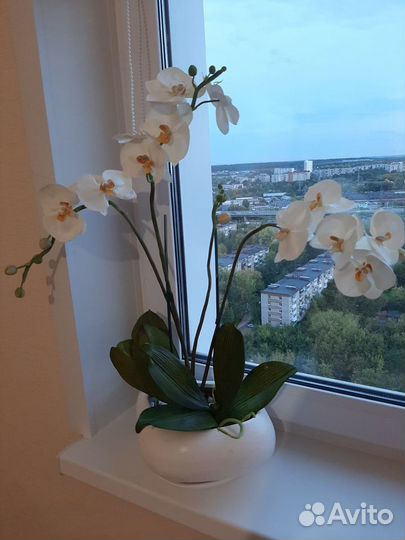 Орхидеи из фоамирана, ручной работы(не живые)