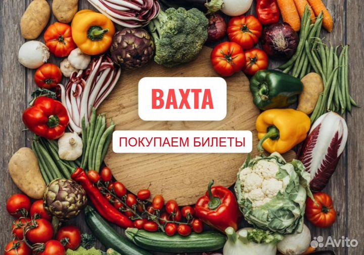 Разнорабочий/ Питание Вахта Без опыта