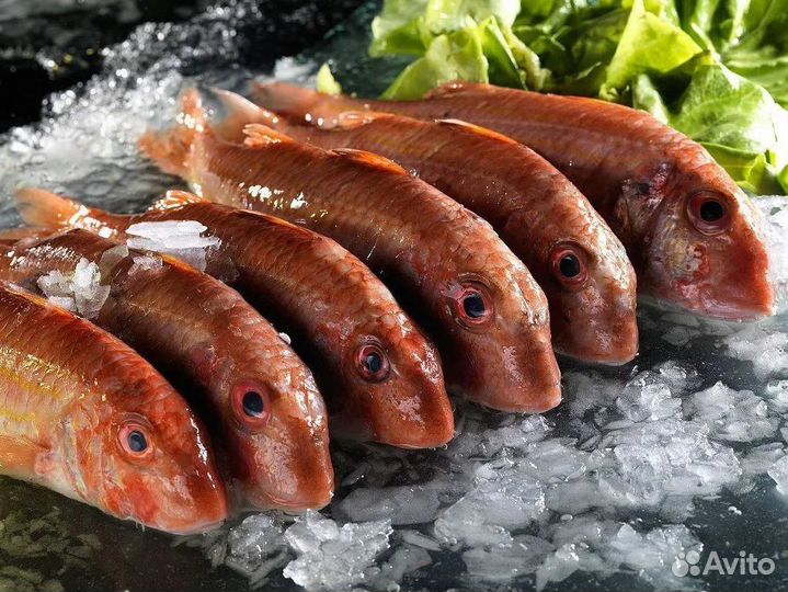 Рыбная франшиза — готовый прибыльный бизнес