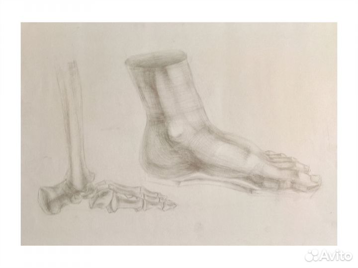 Академический рисунок А2