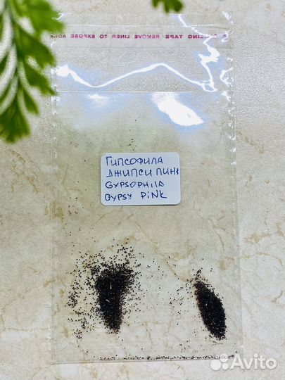 Гипсофила Джипси Пинк семена