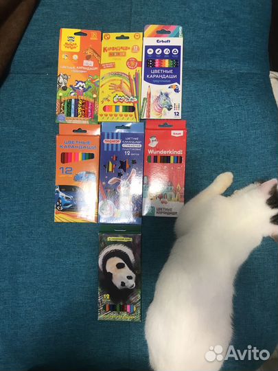 Цветные новые карандаши, все по 100