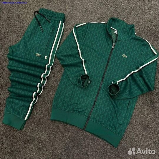 Спортивный костюм lacoste (Арт.17976)