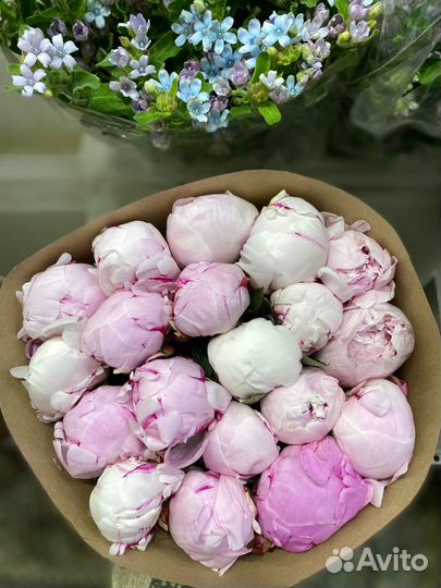 Пионы Итальянские Букет Пионов Пионы