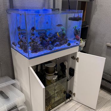 Морской аквариум с тумбой