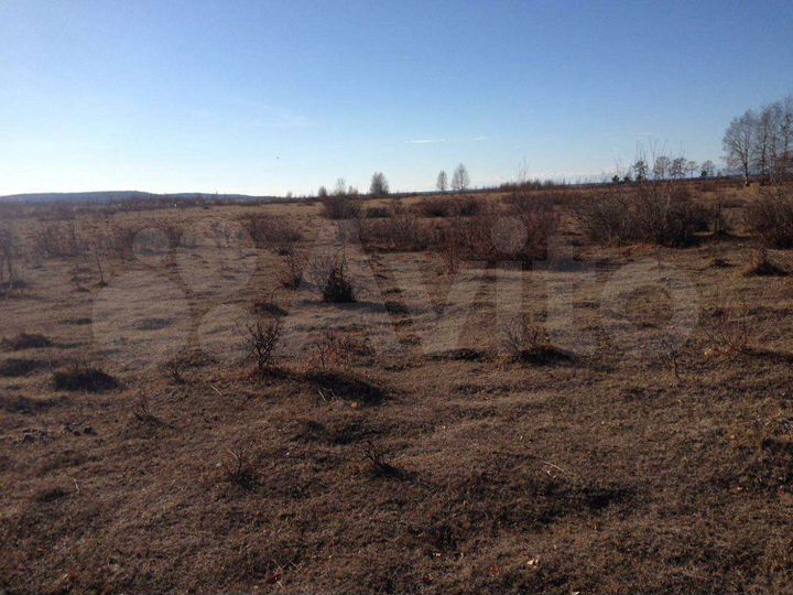 Участок 5 га (ИЖС)