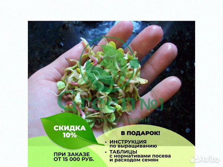Качественная микрозелень