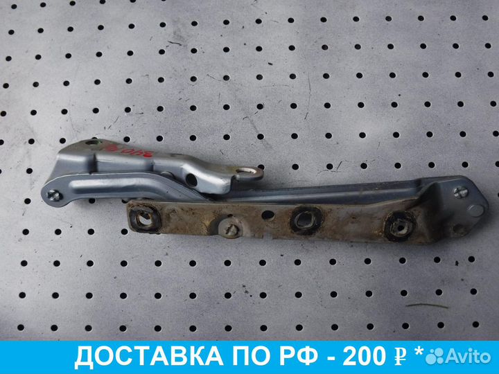 Петля крышки багажника Ford Focus 2 дорест