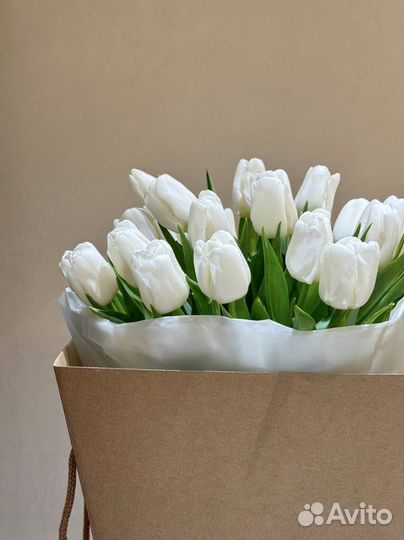 Тюльпаны