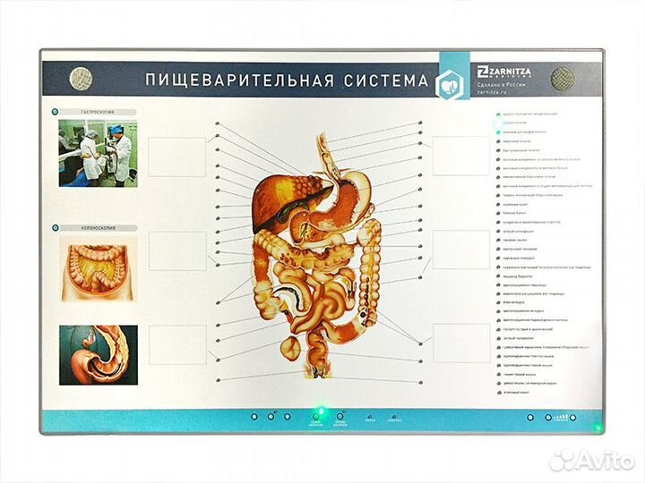 Интерактивный тренажерный комплекс для эндоскопии