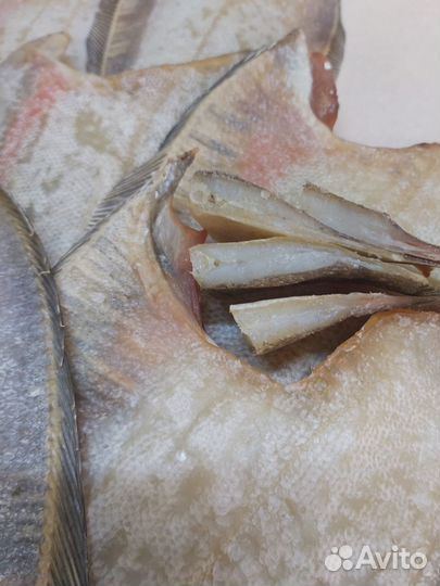 Крупный мурманский ёрш + доставка в подарок