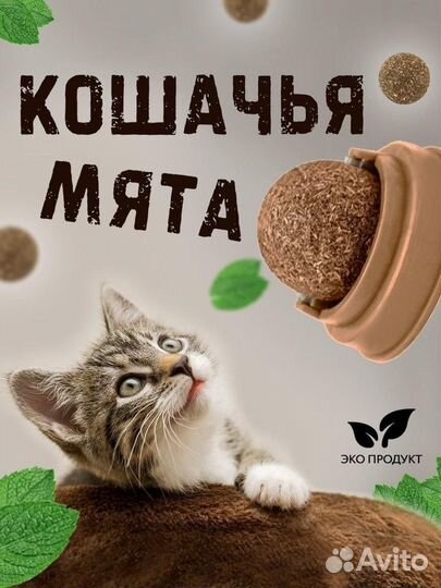 Кошачья мята шарик