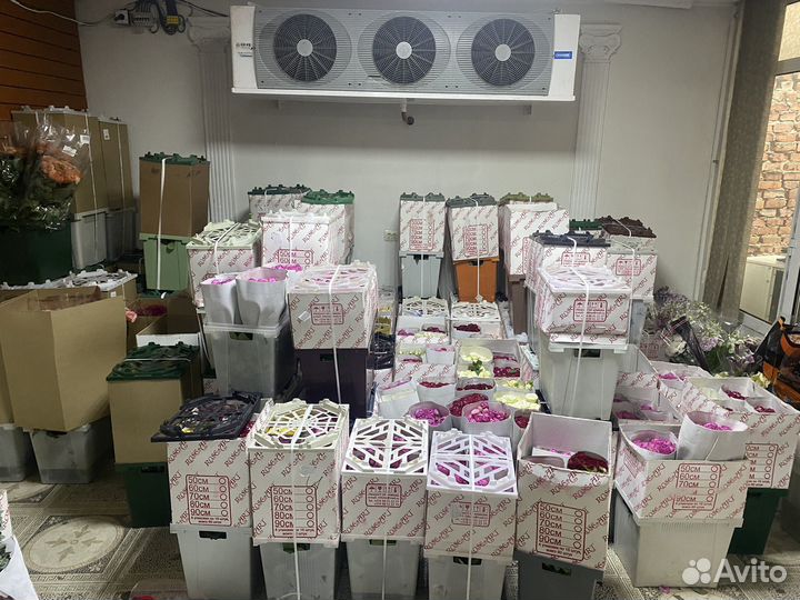 Цветы букеты 101 роза