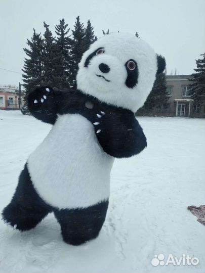 Поздравление от Мишки Панды