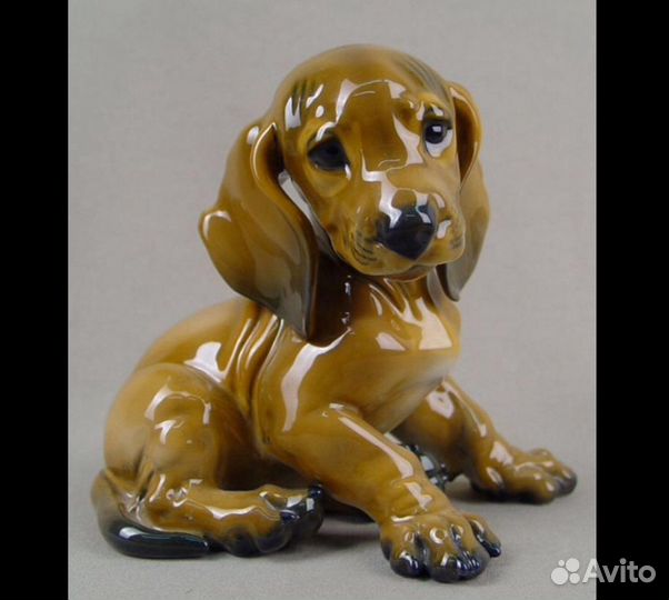 Щенок такса Германия