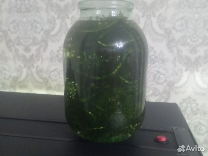 Аквариумные растения прополка