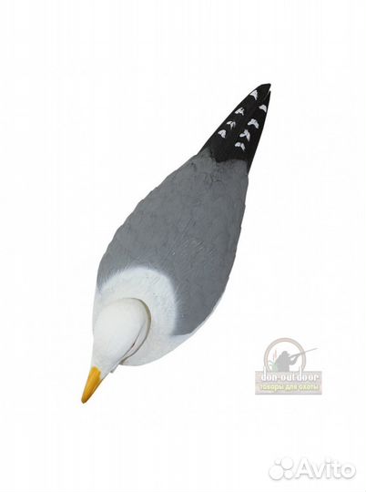 Чучело чайки spotrplast