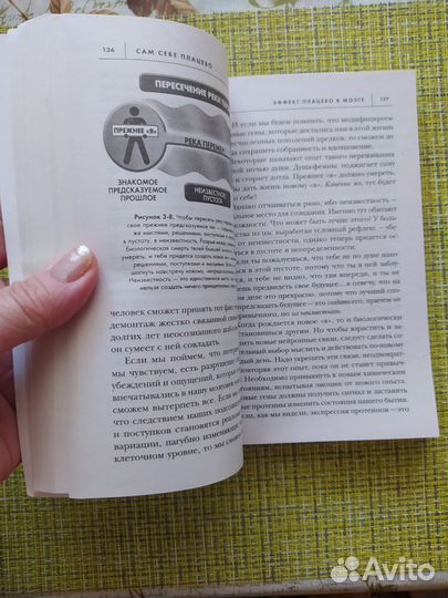 Доктор Джо Диспенза. Сам себе плацебо