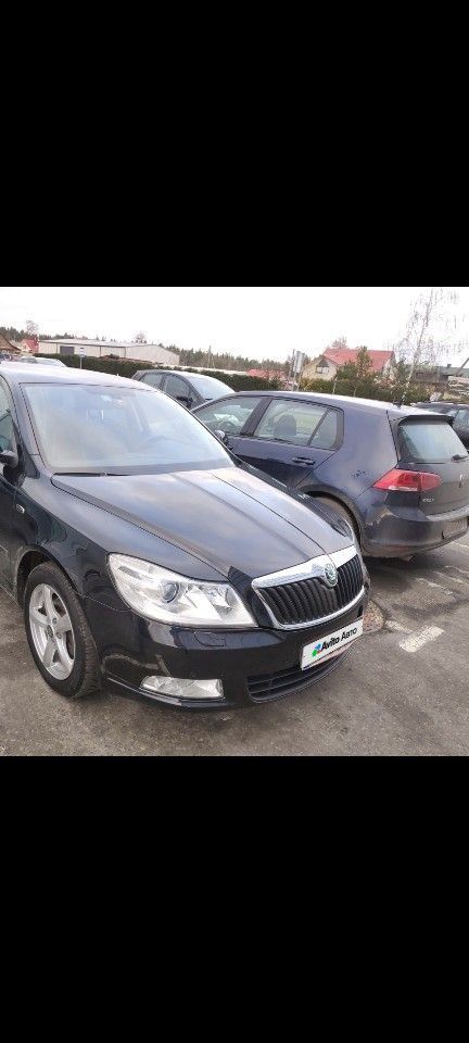 Skoda Octavia: фото владельца