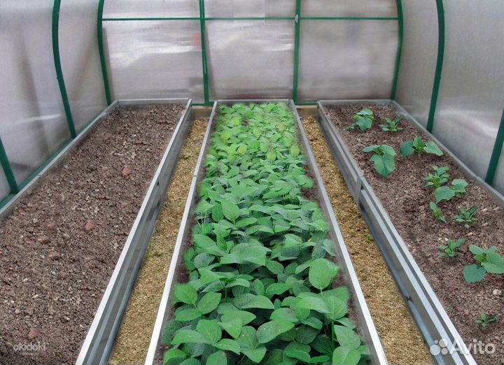 Теплица усиленная