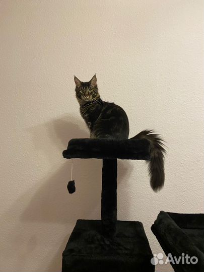 Домик для кошки