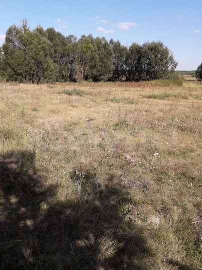 Участок 40 сот. (ИЖС)
