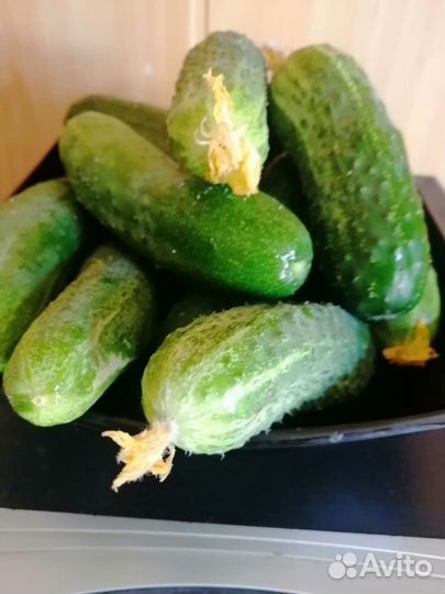 Яйцо куриное, огурцы