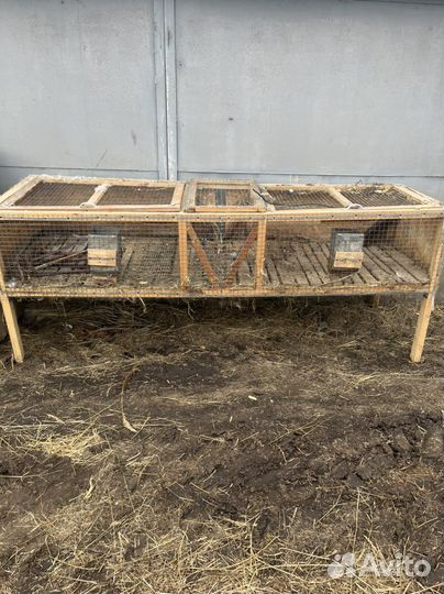 Клетка для кроликов