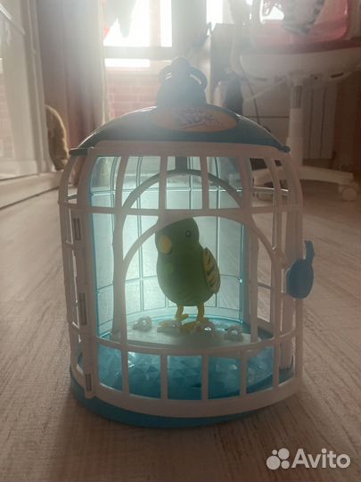 Поющий и повторяющий попугайчик детский