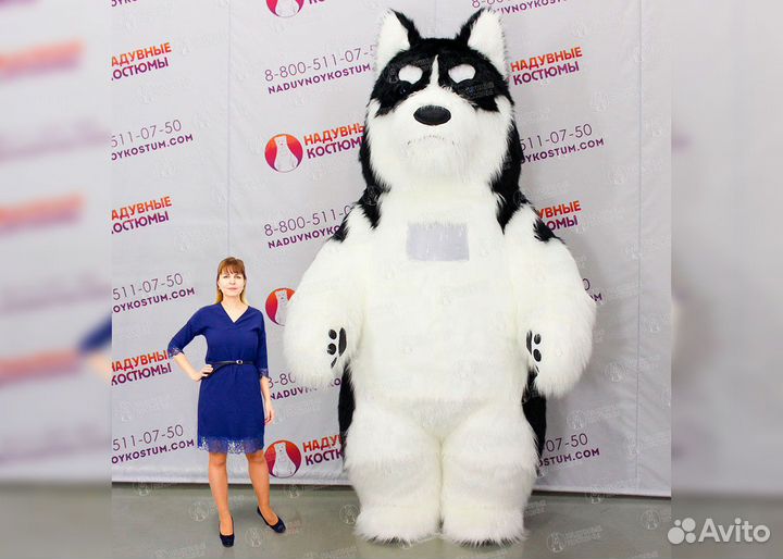 Надувной костюм собака Хаски 2,5 и 3 метра