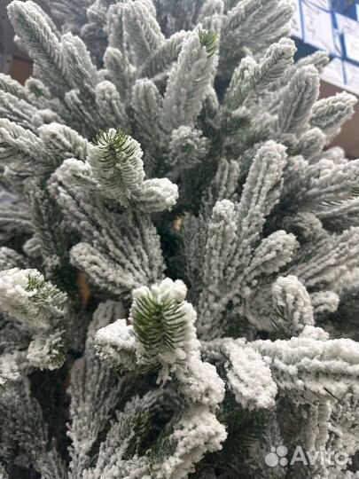 Новогодняя елка в снегу