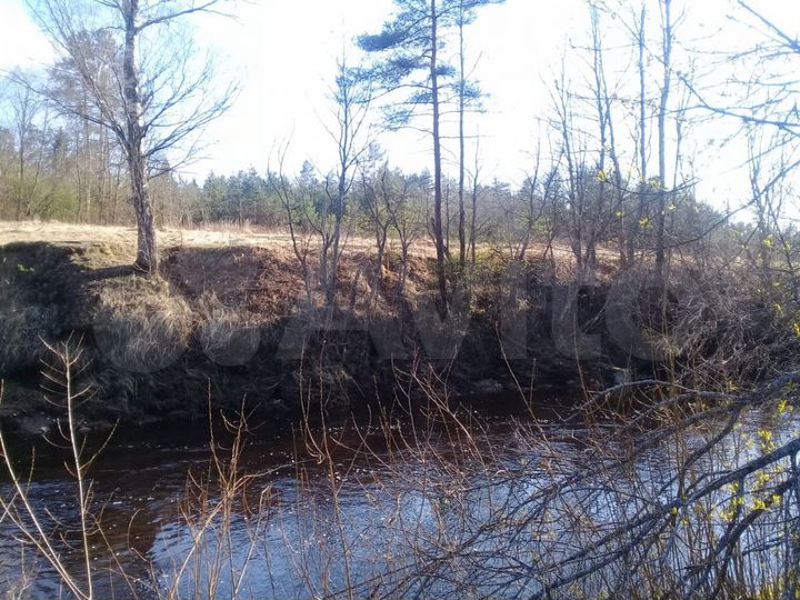 Участок 3 га (СНТ, ДНП)