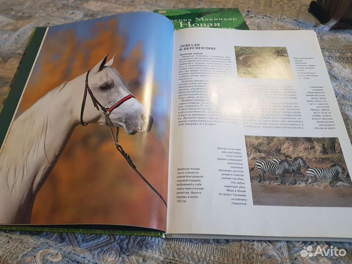 Книга о лошадях