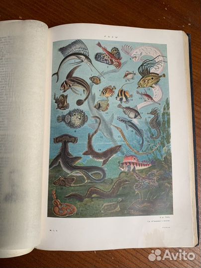 Малая Советская энциклопед. Первое изд. 10 томов