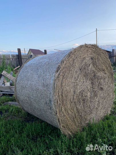 Продам сено в тюках