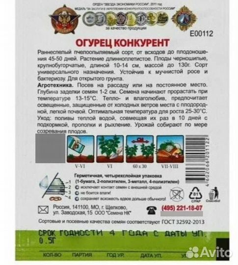 Рассада огурцов