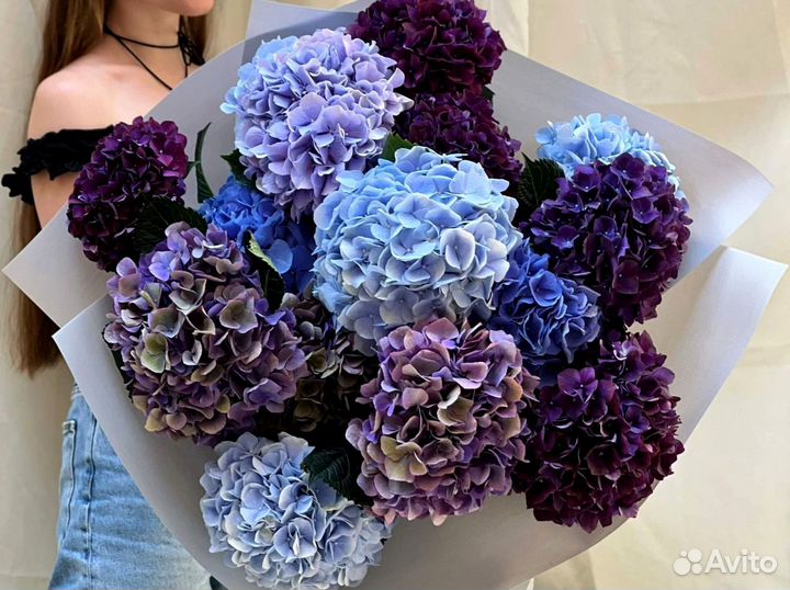Гортензии с доставкой