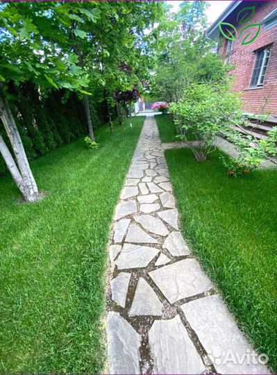 Рулонный газон