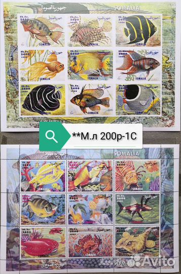 Подборка Фауна 24 Рыбы