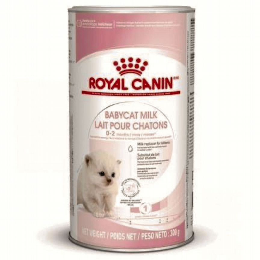 Сухое молоко Royal Canin для котят