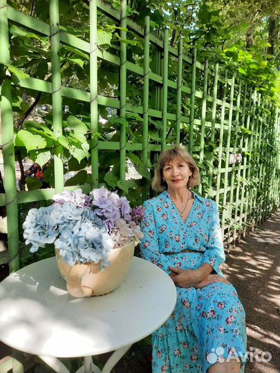 Услуги репетиторства