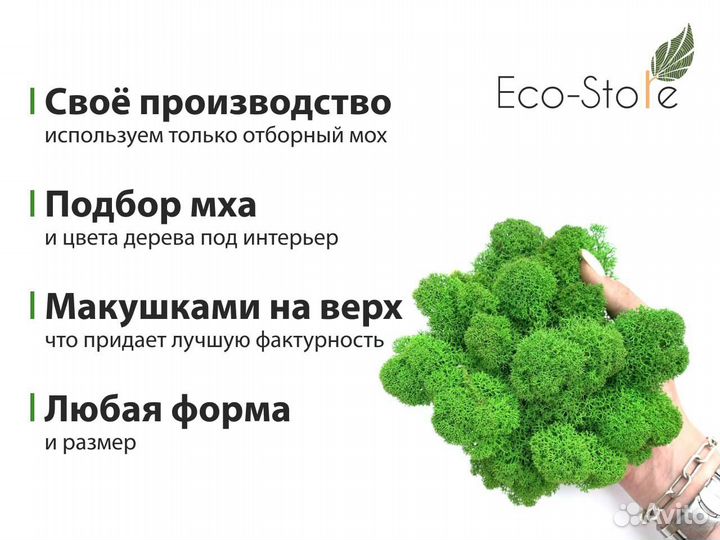 Карта со стабилизированным мхом для вашего города