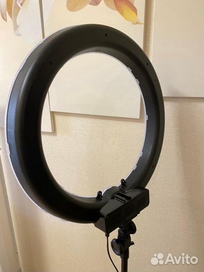 Профессиональная кольцевая лампа 50см