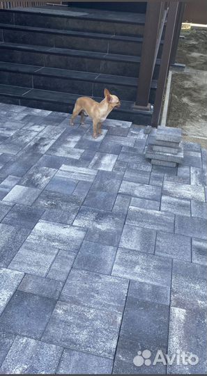 Тротуарная плитка. Производитель. Завод. Доставка