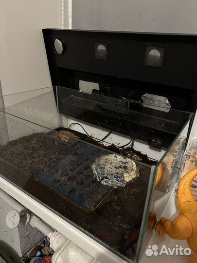 Аквариум с крышкой