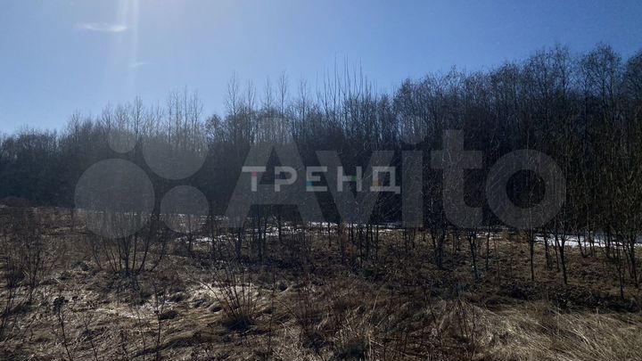 Участок 12,9 сот. (СНТ, ДНП)