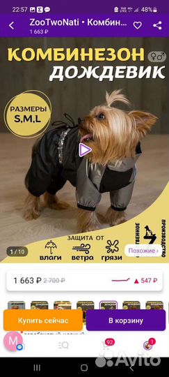 Дождевик для маленькой собаки