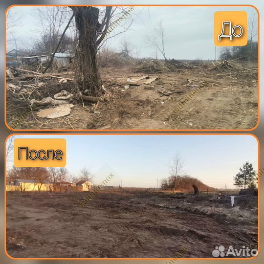 Расчистка участка