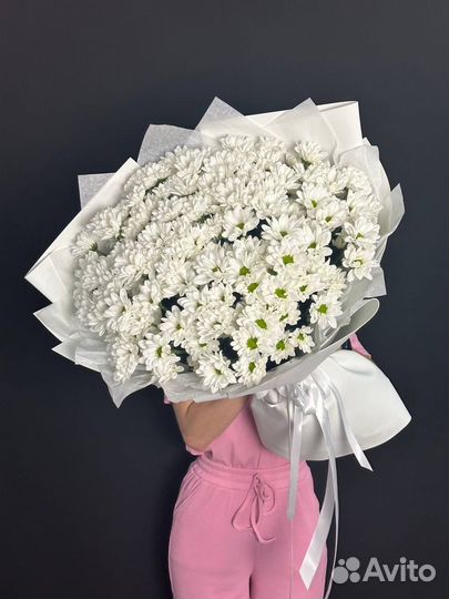 Ромашка крупная