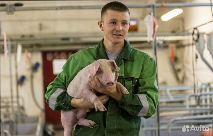 Работник по уходу за животными